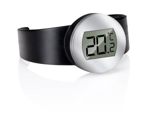 Wine Thermometer