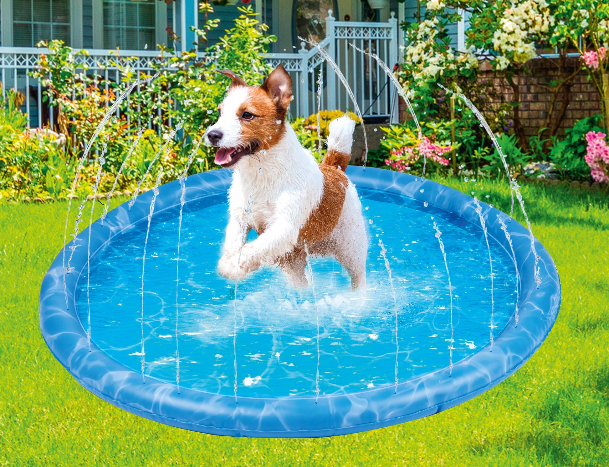 Dog Splash Pool And Sprinkler