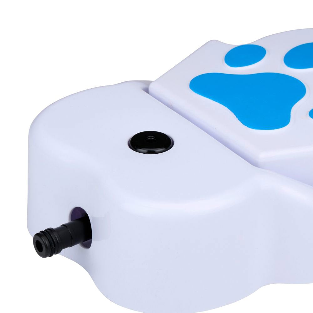 Drinking Fountain Dog