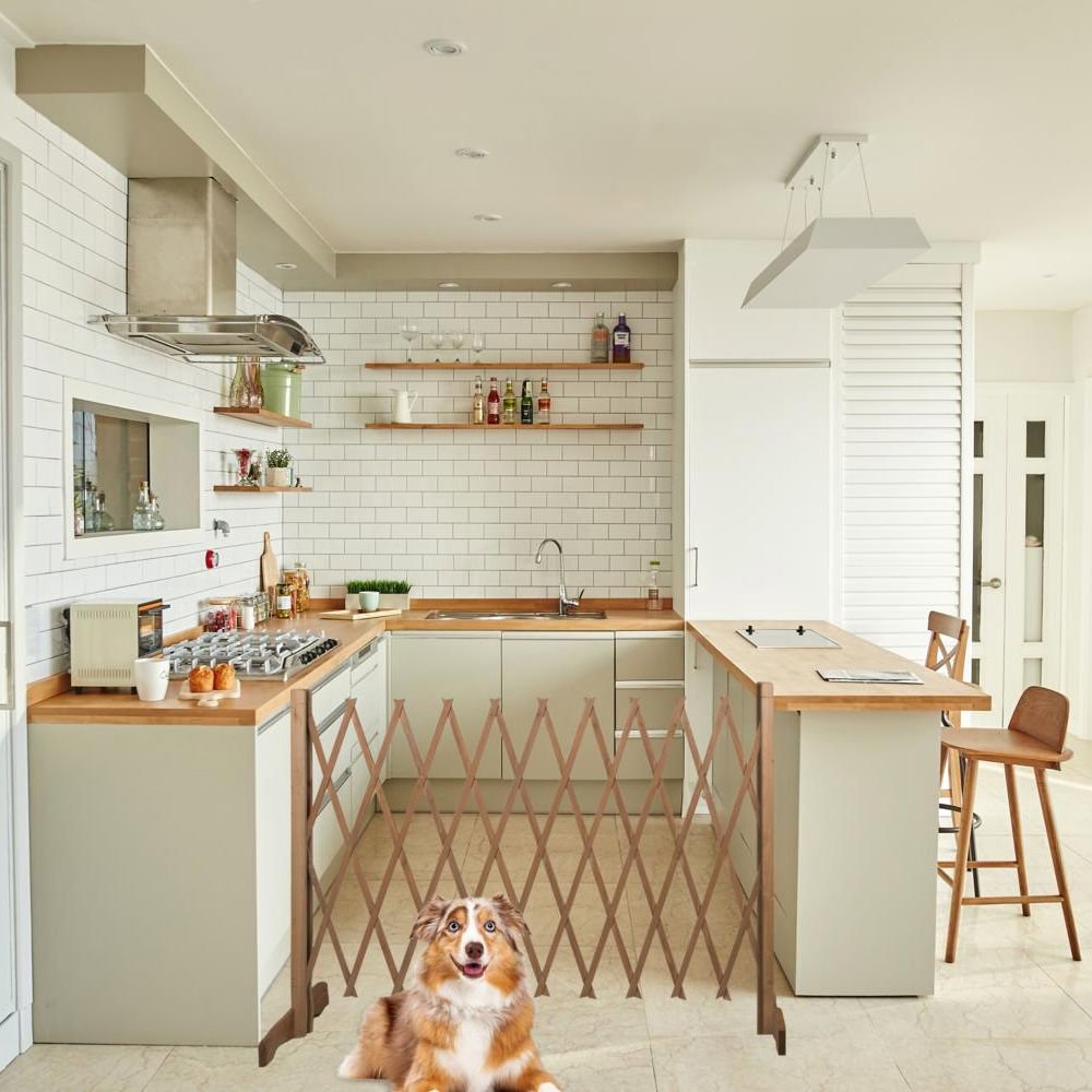 Dog Fence H90Xw30-117Cm Wd