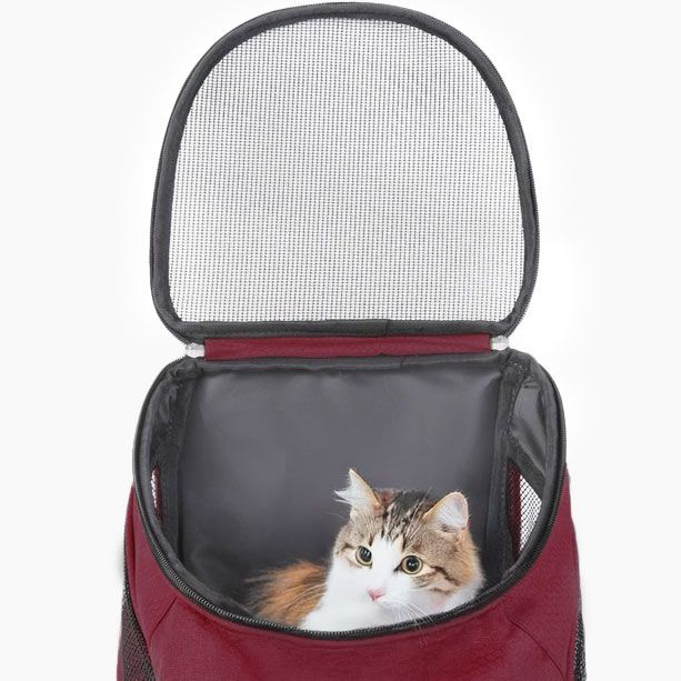 Ceruzo Hondenrugzak - Voor Katten En Honden Tot Max 10 Kg - Rood